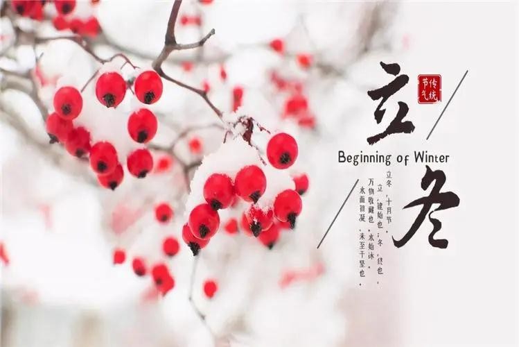 秋走冬又至，立冬啦
